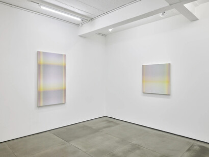 Philippe Decrauzat, Soon all shades disappear, exhibition view. Courtesy of Nara Roesler Gallery
