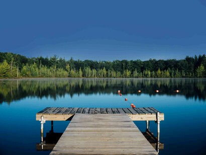 Wetlands ecosystems that play critical roles in Earth’s natural environment