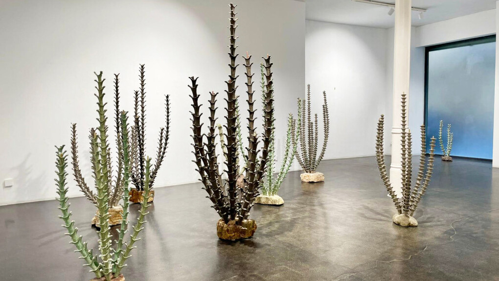 Chiqui García, Naturaleza interna, vista de exhibición. Cortesía de Galería Ponce+Robles