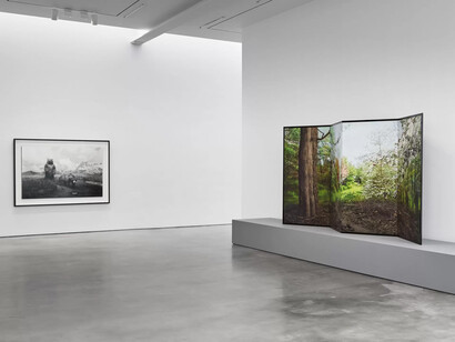 Hiroshi Sugimoto, Unnatural habitat, exhibition view. Courtesy of Lisson Gallery