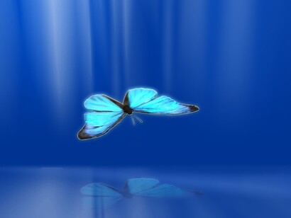Borboleta