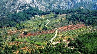 Serranía de Ronda, Málaga