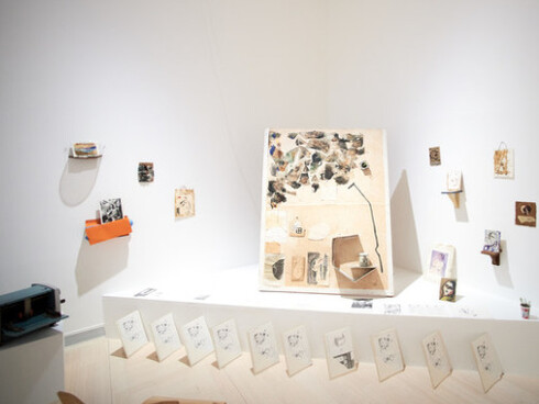 Sparse Alkali Flats, Exhibition view. Courtesy of Ludwig Museum