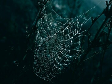 In the stillness, even the smallest threads carry the weight of unspoken words