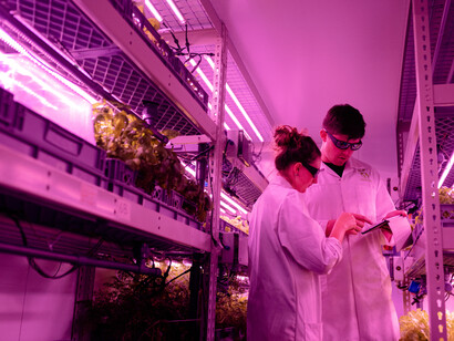 Two scientists discussing the results of their food-growing studies