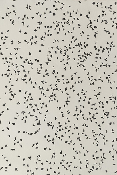 Fabián Burgos, Pájaros (detalle), 2025. Cortesía de Vasari