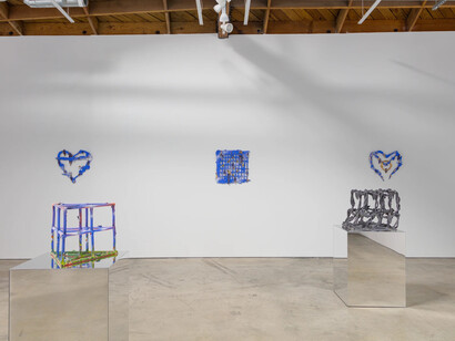 Alex Anderson, Shape of life, exhibition view. Courtesy of Make Room Gallery