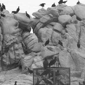 Santiago Sierra. Courtesy of Galeria Helga de Alvear