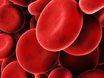 Los investigadores analizaron la sangre de personas con y sin COVID-19; las muestras procedían de un total de 95 personas