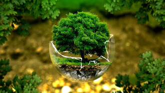 La justicia social puede ser la portadora de la sostenibilidad, para las personas, para las sociedades y para la naturaleza