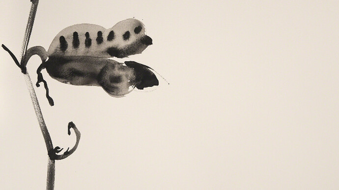 George Bartko. Courtesy of Imlay Gallery