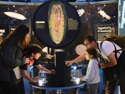 Unseen Oceans. Courtesy of American Museum of Natural History