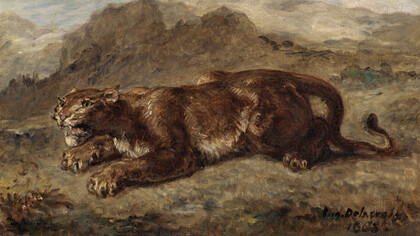 Lionne prête à s'élancer RF1397 Delacroix Eugène (1798-1863) Localisation : Paris, musée du Louvre Photo (C) RMN-Grand Palais (musée du Louvre) / Hervé Lewandowski
