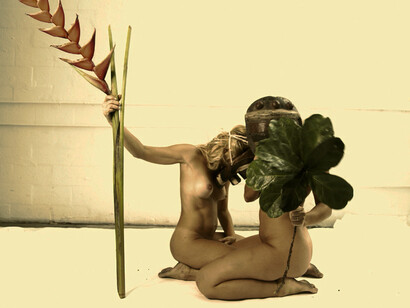 Birds of Paradise, Archival Gicleé print, 2020