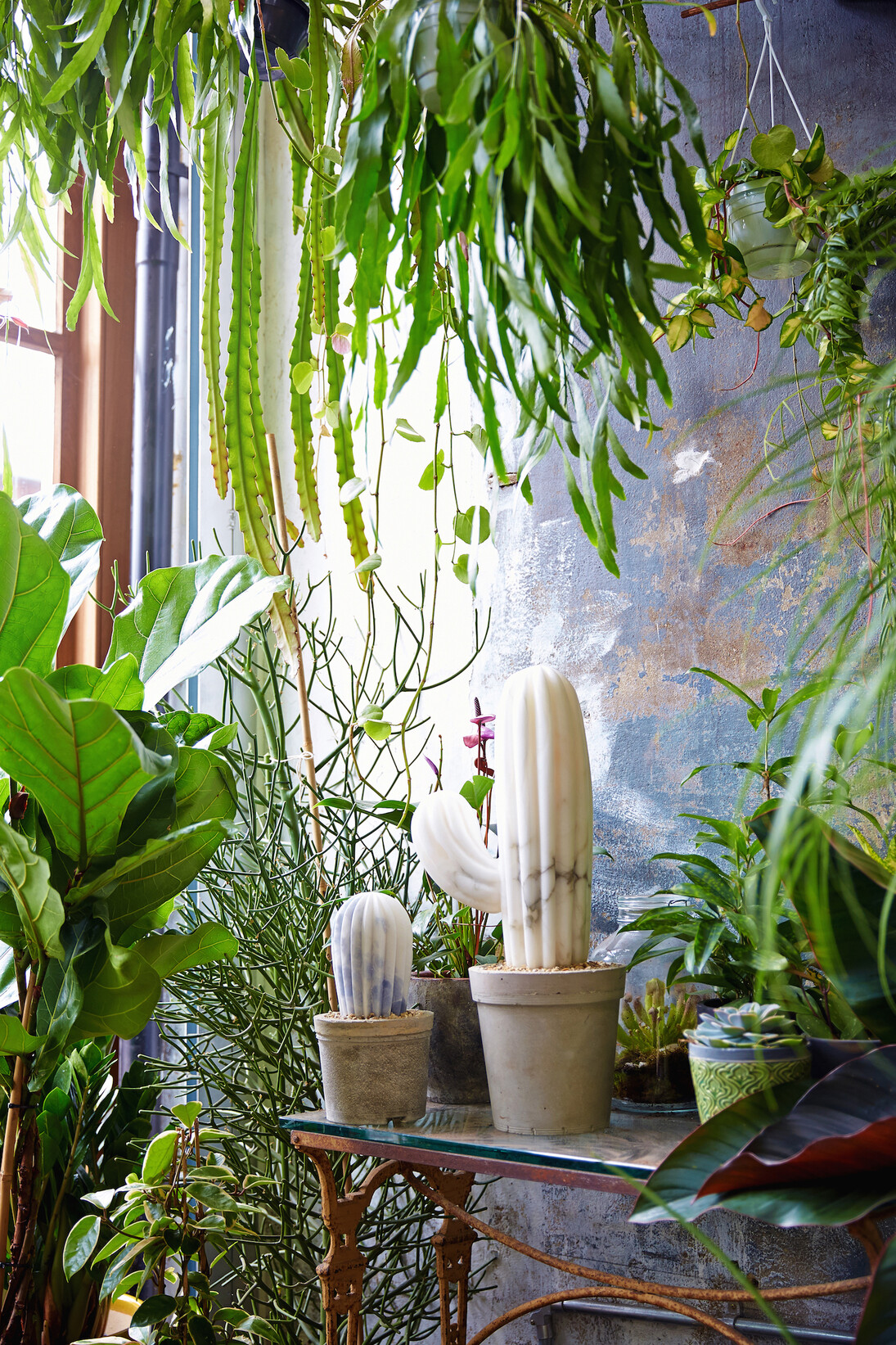 The Cactus House. Courtesy of Hignell Gallery