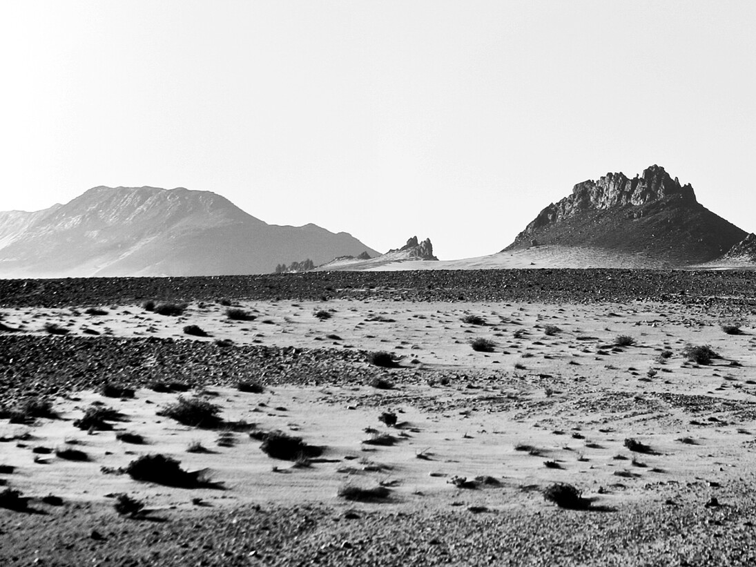 Ingrid Guyon, Between Nouadhibou and Zouerate (detail)