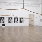 Various artists, After the afternoon. Regionale 26, exhibition view. Courtesy of Kunsthalle Basel