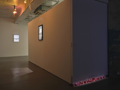 Trevor Yeung, Swallowing rumination, gracefully, exhibition view. Courtesy of Blindspot Gallery
