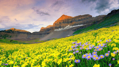 Joshimath, Valley of Flowers