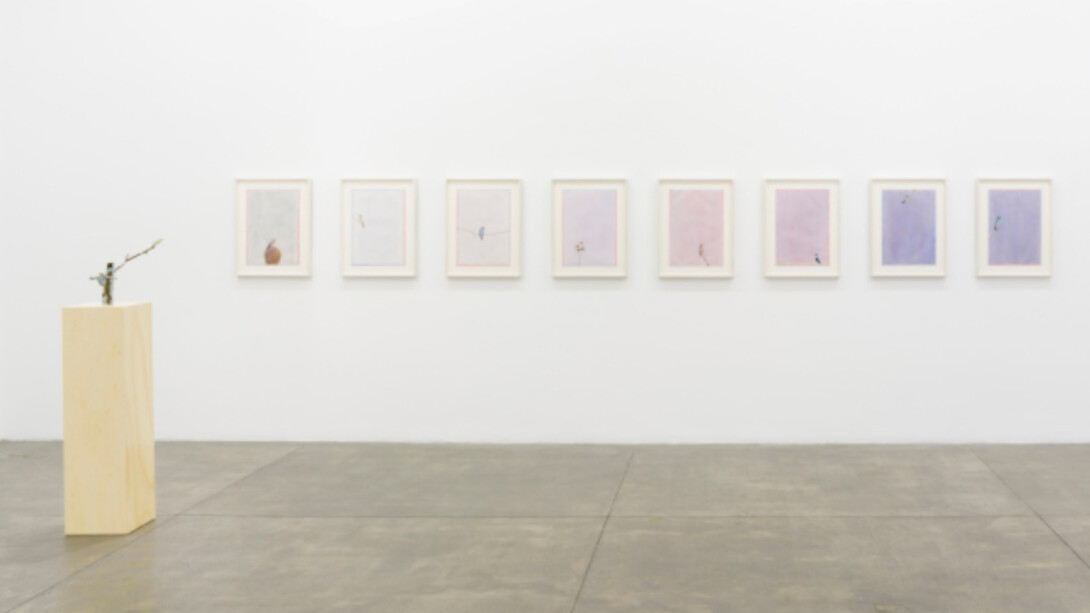Instances of Seeing, Exhibition view. Courtesy of Fortes D’Aloia & Gabriel