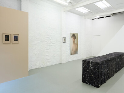 Björn De Feyter, La douceur, est essentielle, exhibition view. Courtesy of Base-Alpha Gallery