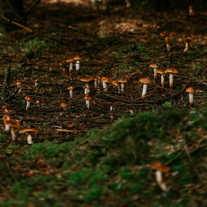 La cultura cura perché insegna a comprendere, e comprendere è il primo passo per guarire