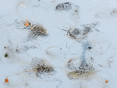 Miquel Barcelo, Double Apnée, 2014, Técnica mixta sobre lienzo, 160,5 x 195,5 x 5 cm (62,99 x 76,77 x 21,65 in), Courtesy Galerie Thaddaeus Ropac, Paris/Salzburg, Photo: Charles Duprat