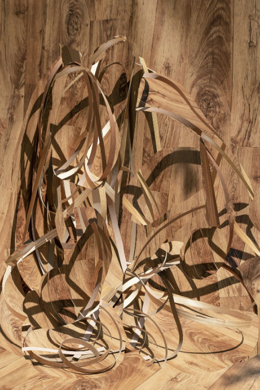 Nico Krijno. Courtesy of Elizabeth Houston Gallery