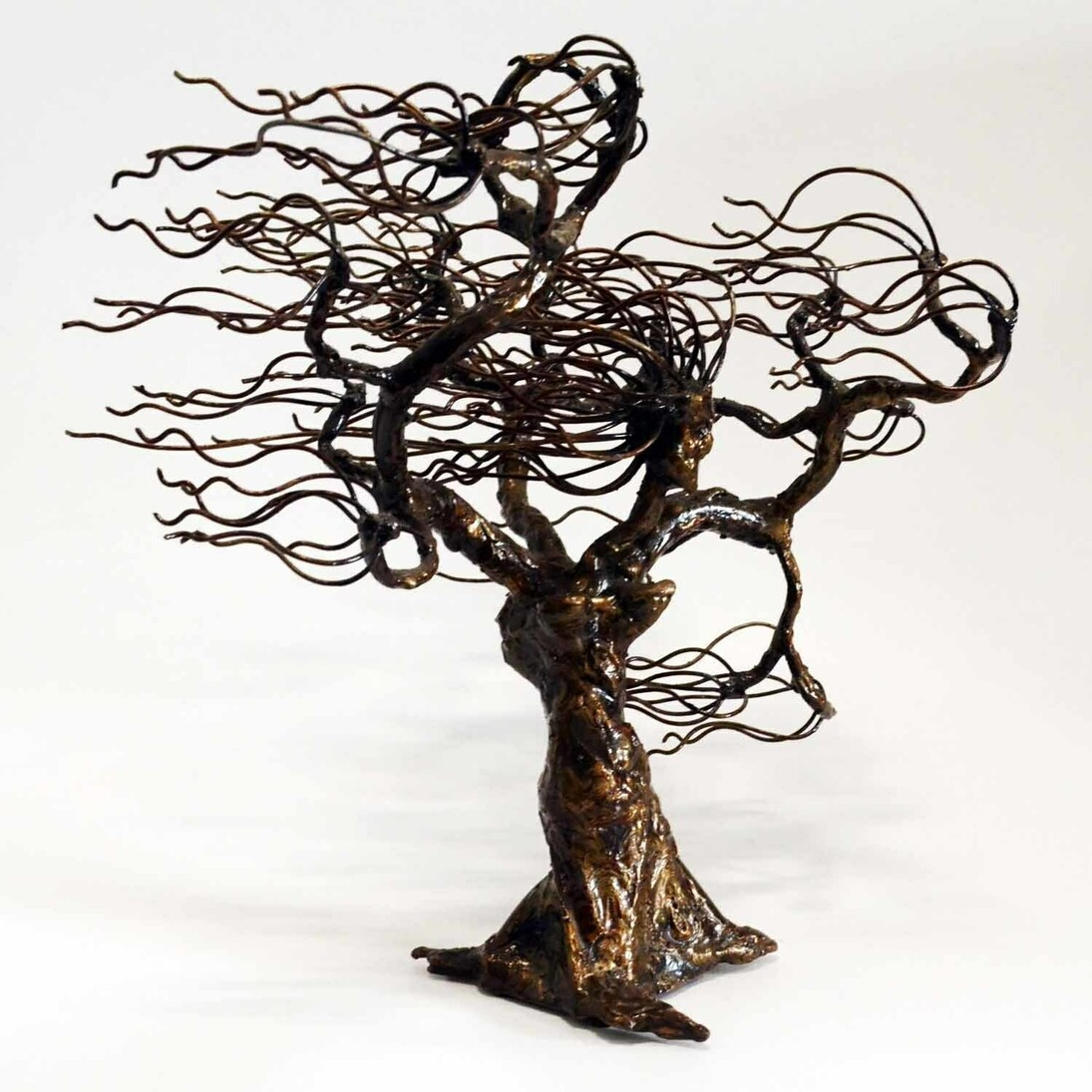 Williams Gonzalez, Vieja Naturaleza, Iron, 9" x 14" x 14"