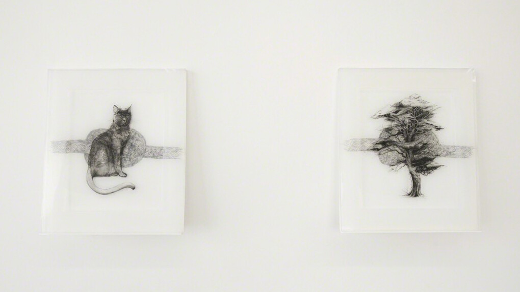 Camille Schefter. Courtesy of Ochi Projects