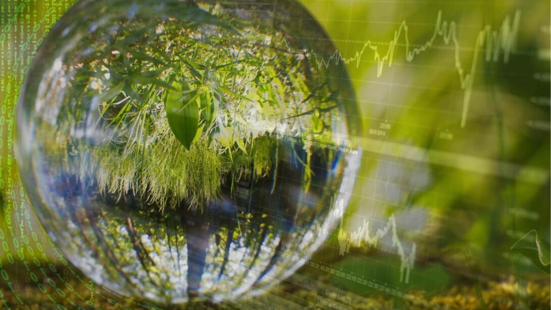 To date, no peer-reviewed study considers the digital industry’s combined ecological impacts