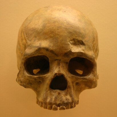 Teschio di Homo sapiens, 68.000 anni, Grotta di Liujiang, Cina
