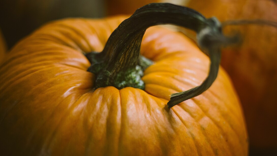 Calabaza