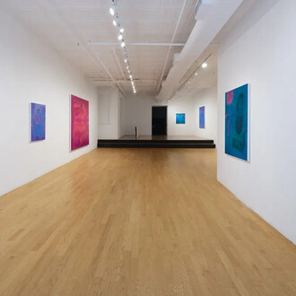 Anna Ortiz, Shapeshifter, exhibition view. Courtesy of Chart