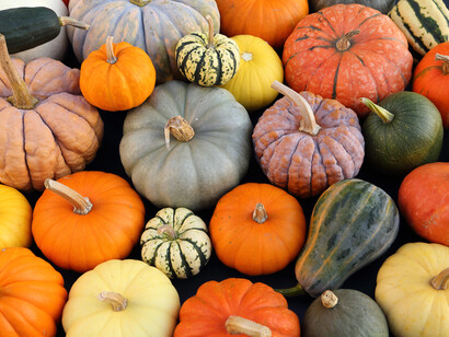 Chiedere “Perché?” e andare alla fonte dell’interesse ci permette di scoprire molti altri modi più intelligenti e di valore per soddisfarlo ancora meglio