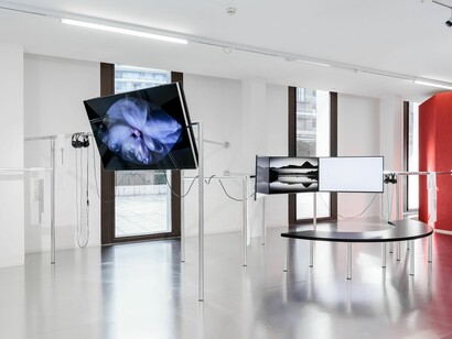 Verschiedene Künstler, Civa. Contemporary immersive virtual art, Ausstellungsansicht. Mit freundlicher Genehmigung des Unteren Belvedere