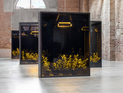 Hicham Berrada, Mesk-Ellil, 2015-2019, courtesy the artist and Kamel Mennour. Installation View ‘Luogo e Segni’, Punta della Dogana, 2019 © Palazzo Grassi, foto Delfino Sisto Legnani e Marco Cappelletti
