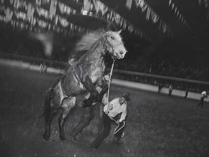 Garry Winogrand (American, 1928–1984) Fort Worth
1974 Gelatin silver print San Francisco Museum of Modern Art, Accessions Committee Fund: gift of Doris and Donald Fisher, and Marion E. Greene © The Estate of Garry Winogrand, courtesy Fraenkel Gallery, San Francisco