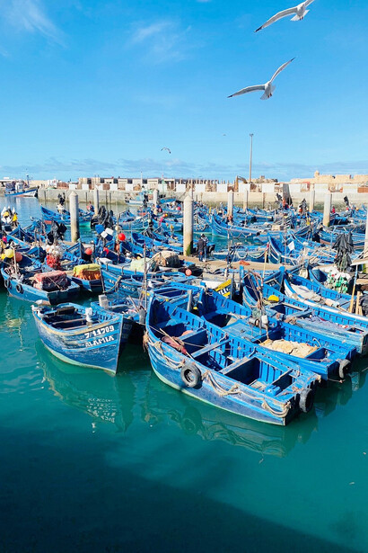Amidst the azure waters of Essaouira, Morocco, the vibrant fishing port stands as a testament to the country's cultural diversity and its enduring legacy of unity among different faiths