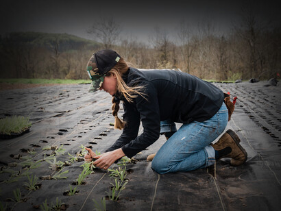 Producción familiar y agroecológica: es mucho más eficiente para garantizar la seguridad alimentaria y el desarrollo de las economías regionales
