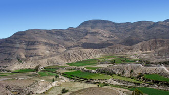 Los hallazgos paleontológicos en la zona de Yura, cerca de Arequipa, Perú, revelan que las actuales montañas andinas fueron en otro tiempo parte de un antiguo entorno marino lleno de vida