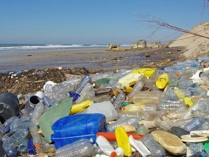 Immondizia in spiaggia: si trasforma in microplastiche che vengono ingerite dagli animali marini entrando così nella catena alimentare