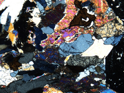 Petrology Collection. Courtesy of Sedgwick Museum of Earth Sciences