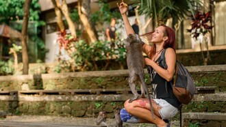 The monkey and the female human enjoying a peaceful and happy life in society 