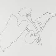 Leslie Sacks Gallery