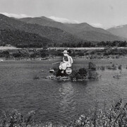 Marion Post Wolcott, Advertisement near black mountain, North Carolina, 1939. Courtesy of NOMA