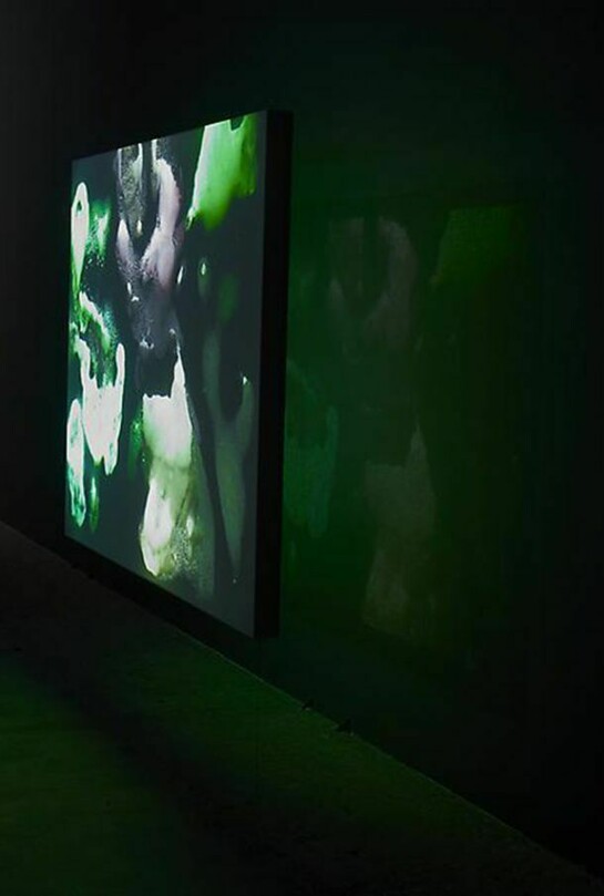 Matt Saunders, Reverdy /King Hu, 2014 (Detail), installation in five parts, four animation films, color and black and white, silent, loop ( 12, 9, 6 and 6,32 mn ) projected on 4 screens ( 120 x 160 cm and 180 x 320 cm), Silver gelatin print on fiber-based paper print : 126 x 172 cm /frame : 133 x 179,5 cm