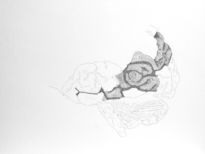 SUM 03 © Cabanis 2013