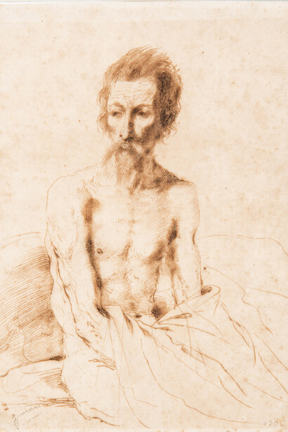 Guercino - Studio di vecchio, penna, inchiostro bruno