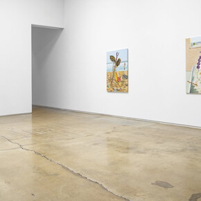 Hadi Alijani, The mutilated gaze, exhibition view. Courtesy of Michael Kohn Gallery